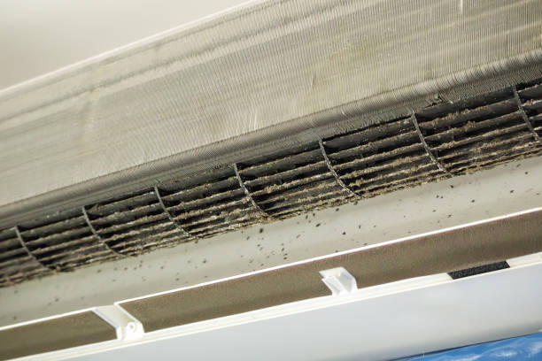 Best Air Vent Cleaning Services  in Mays Landing, NJ